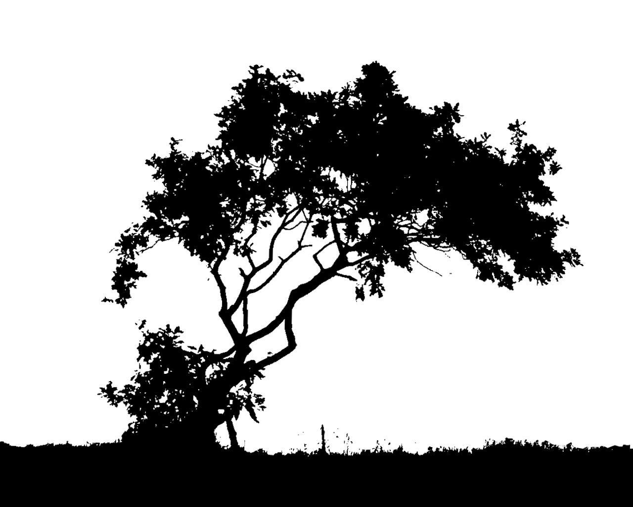 Details 75+ black and white tree wallpaper best - in.cdgdbentre