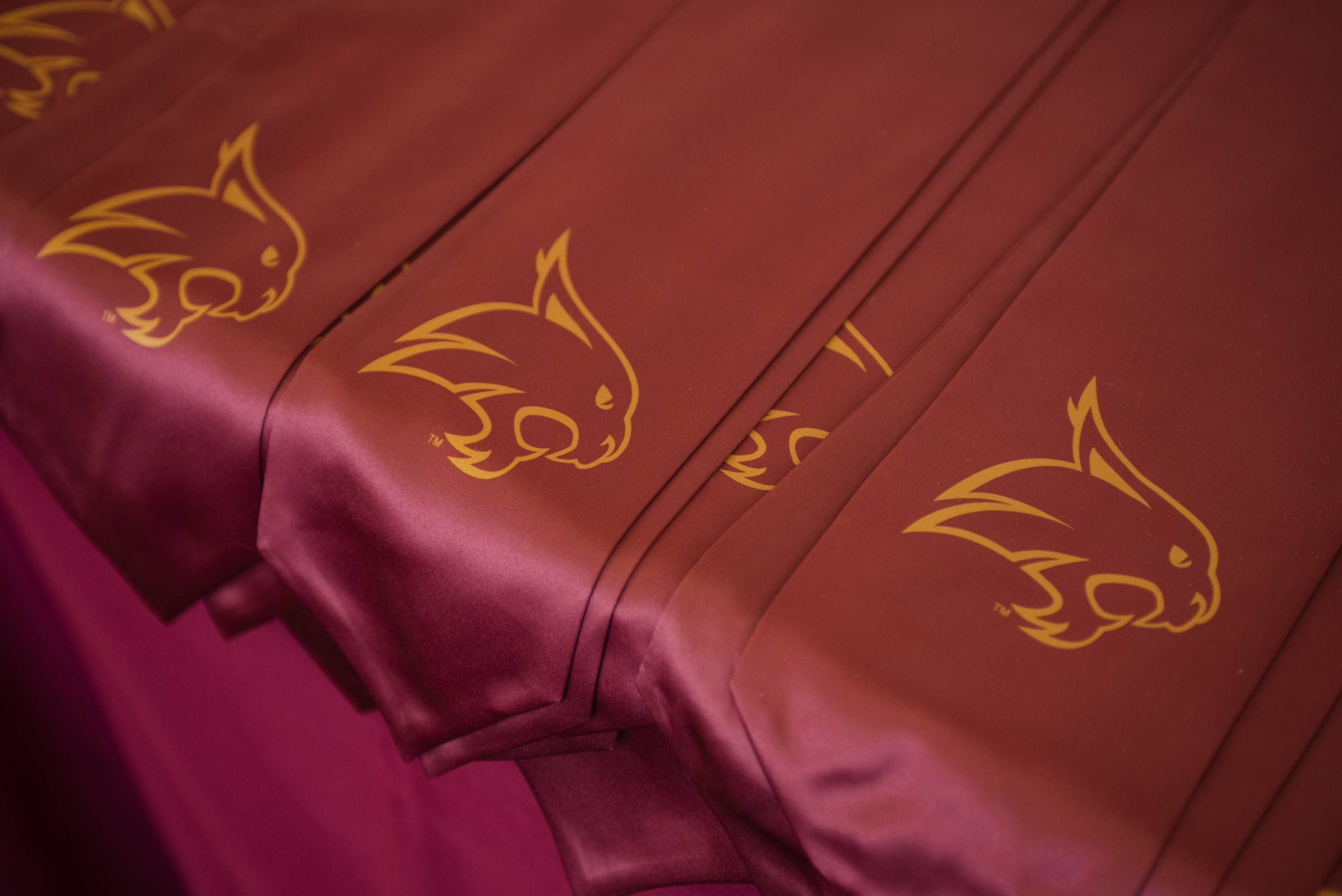 3008x2008 Bobcat Logo : Texas State University