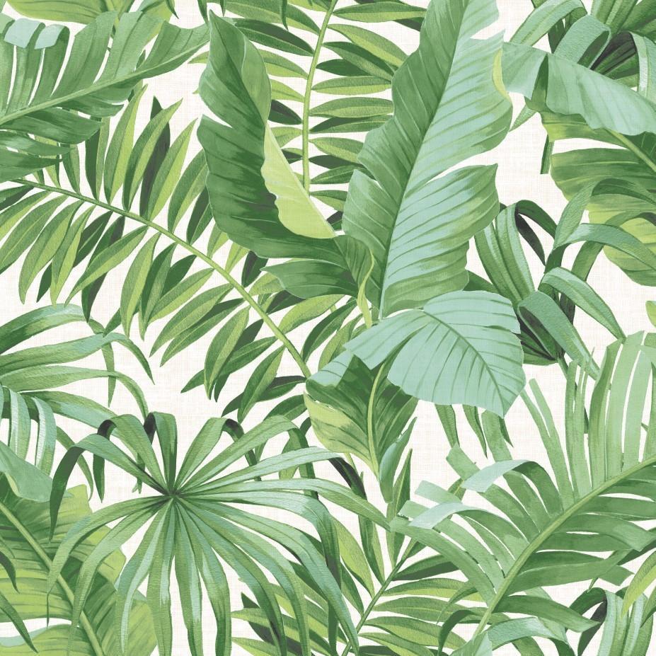927x927 Solstice Baja Green Leaves Wallpaper