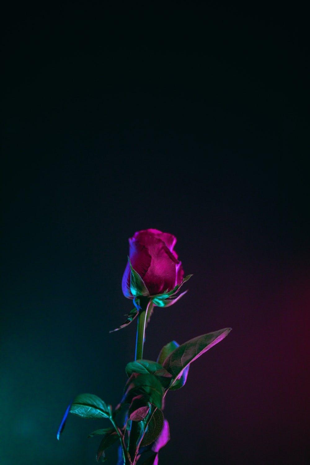 1000x1500 Download Uplifting Wallpaper Wallpaper For your