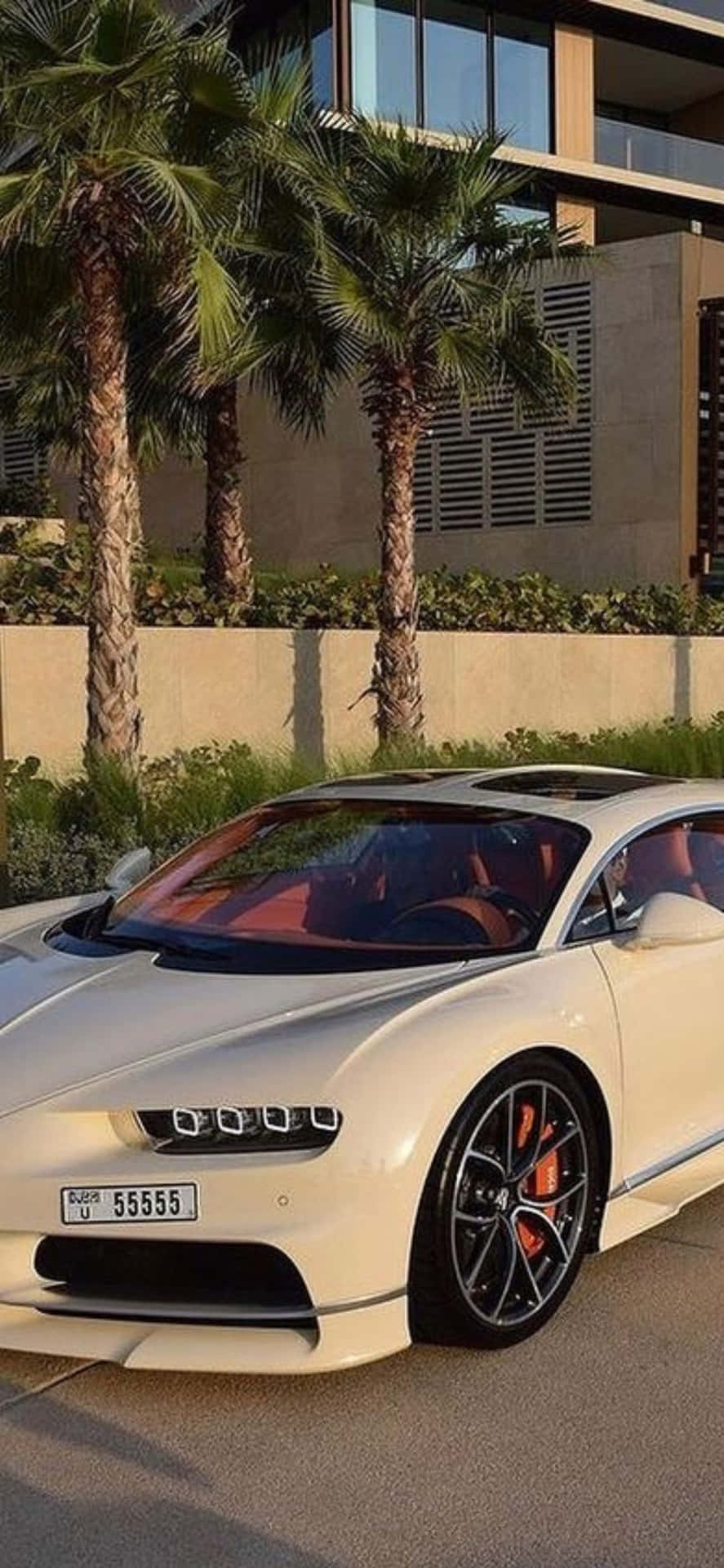 887x1920 iPhone XS and a Bugatti Veyron