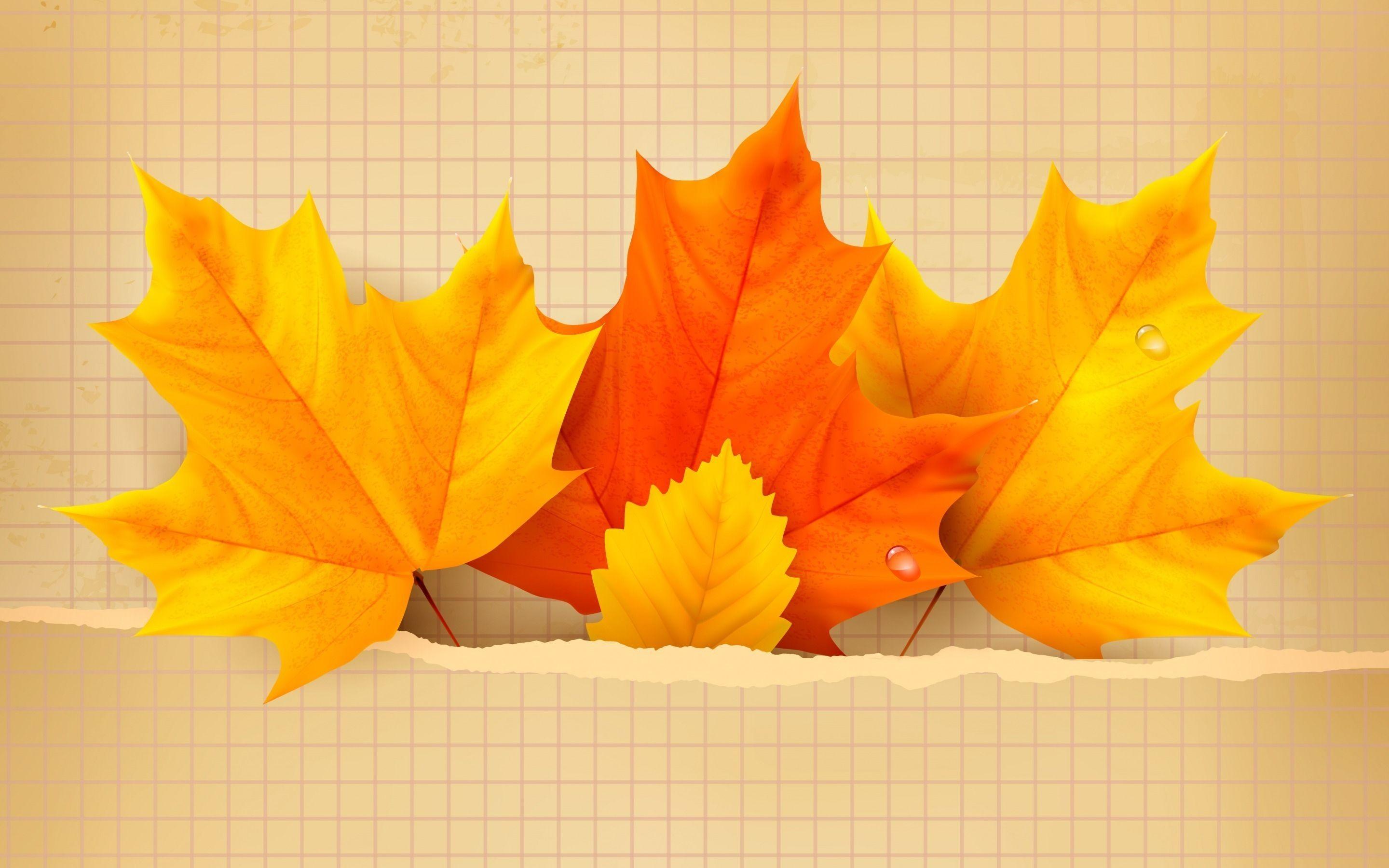 2880x1800 Beautiful Autumn Leaves Wallpaper