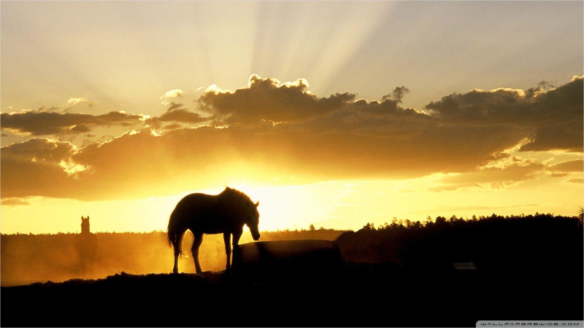 1920x1080 Sundown On The Farm