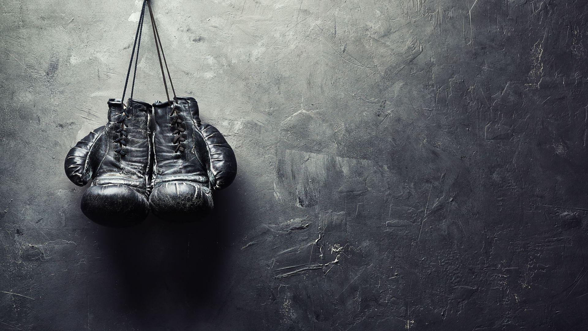 Everlast Boxing Gloves HD phone wallpaper  Pxfuel