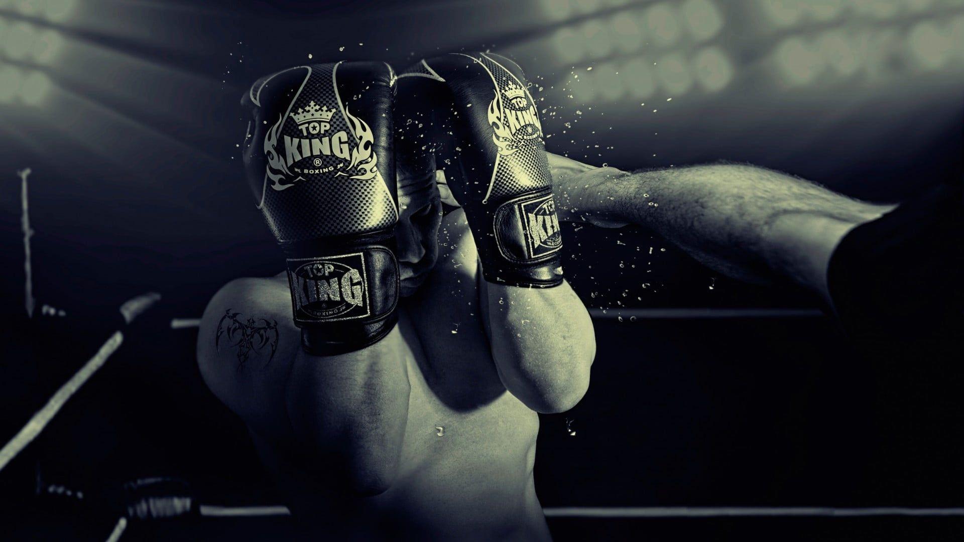 Boxing Gloves On A Black Background Stock Photo  Download Image Now   Boxing Ring Boxing Glove Black Color  iStock