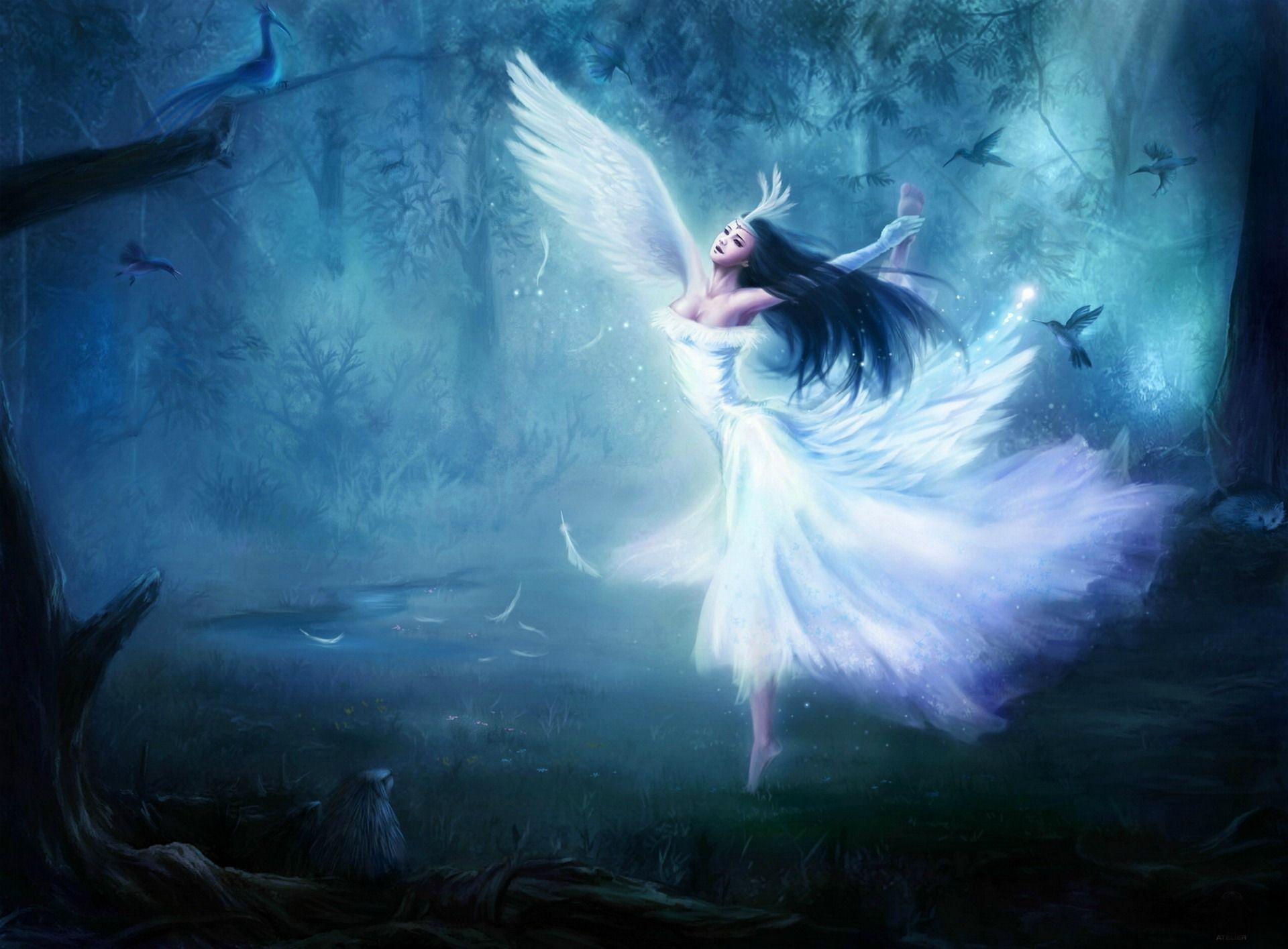 Fairy Desktop Wallpapers Top Free Fairy Desktop Backgrounds 