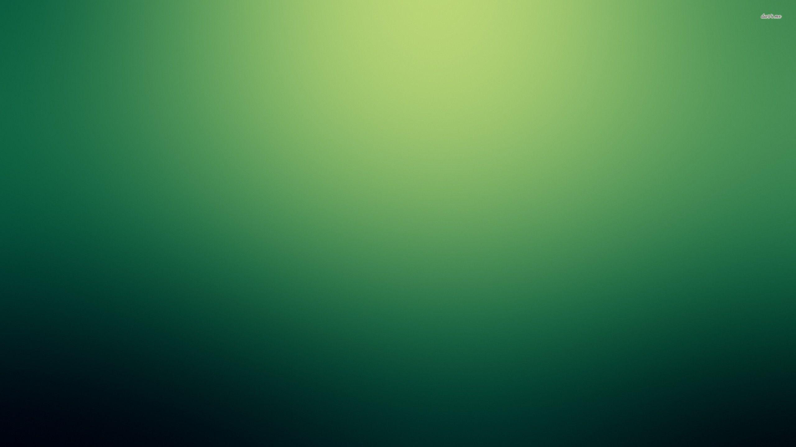 2560x1440 Hình nền gradient màu xanh lá cây - Hình nền trừu tượng