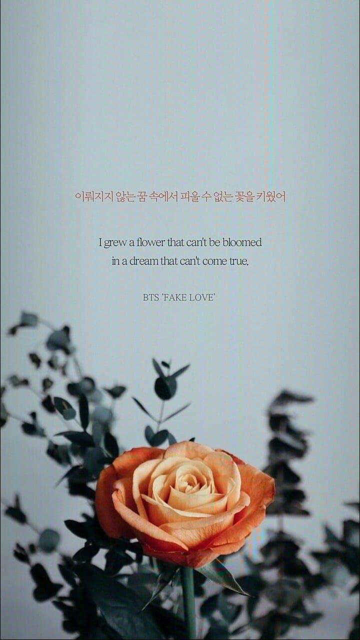 720x1280 Love Lyrics Wallpaper