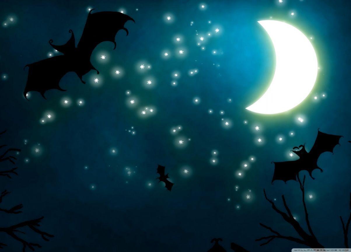 1203x864 Halloween Night Wallpaper