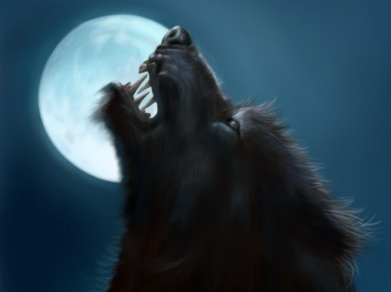 1256x940 Best Halloween wolf and moon Wallpaper (8 + Image)