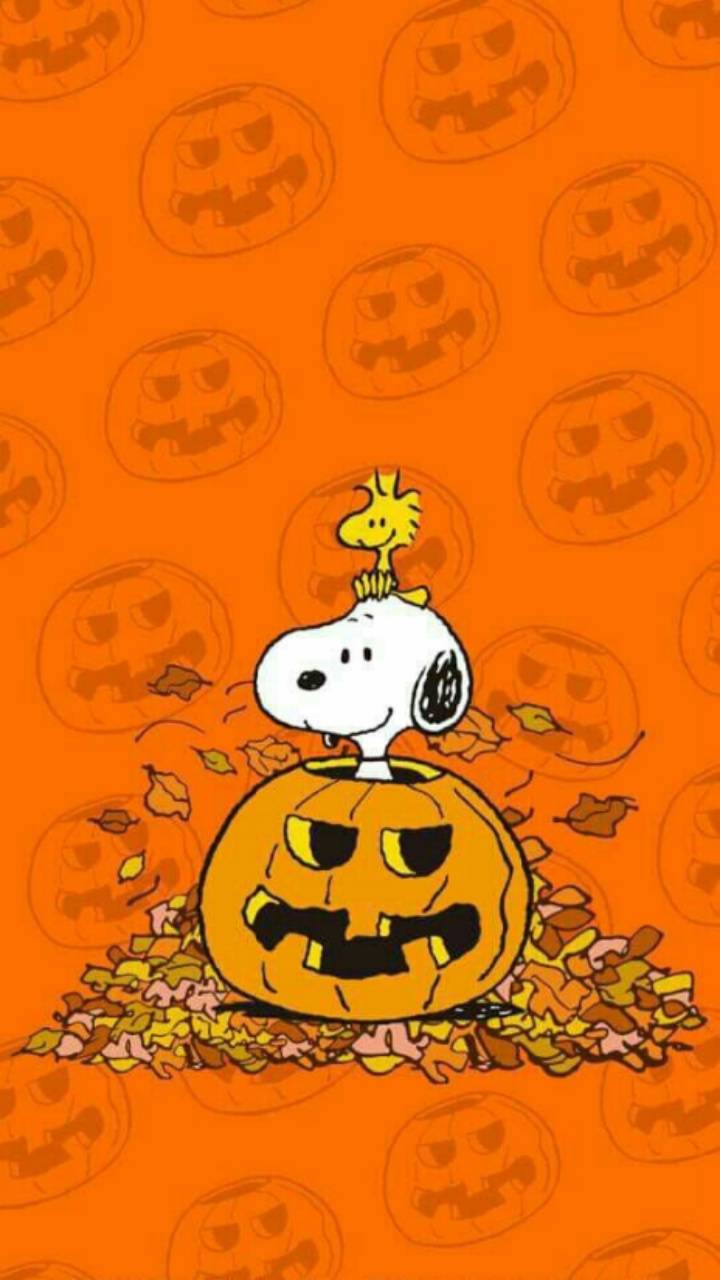 Hình nền halloween 720x1280 snoopy https://wallpaperaccess.com/full/1155819.jpg