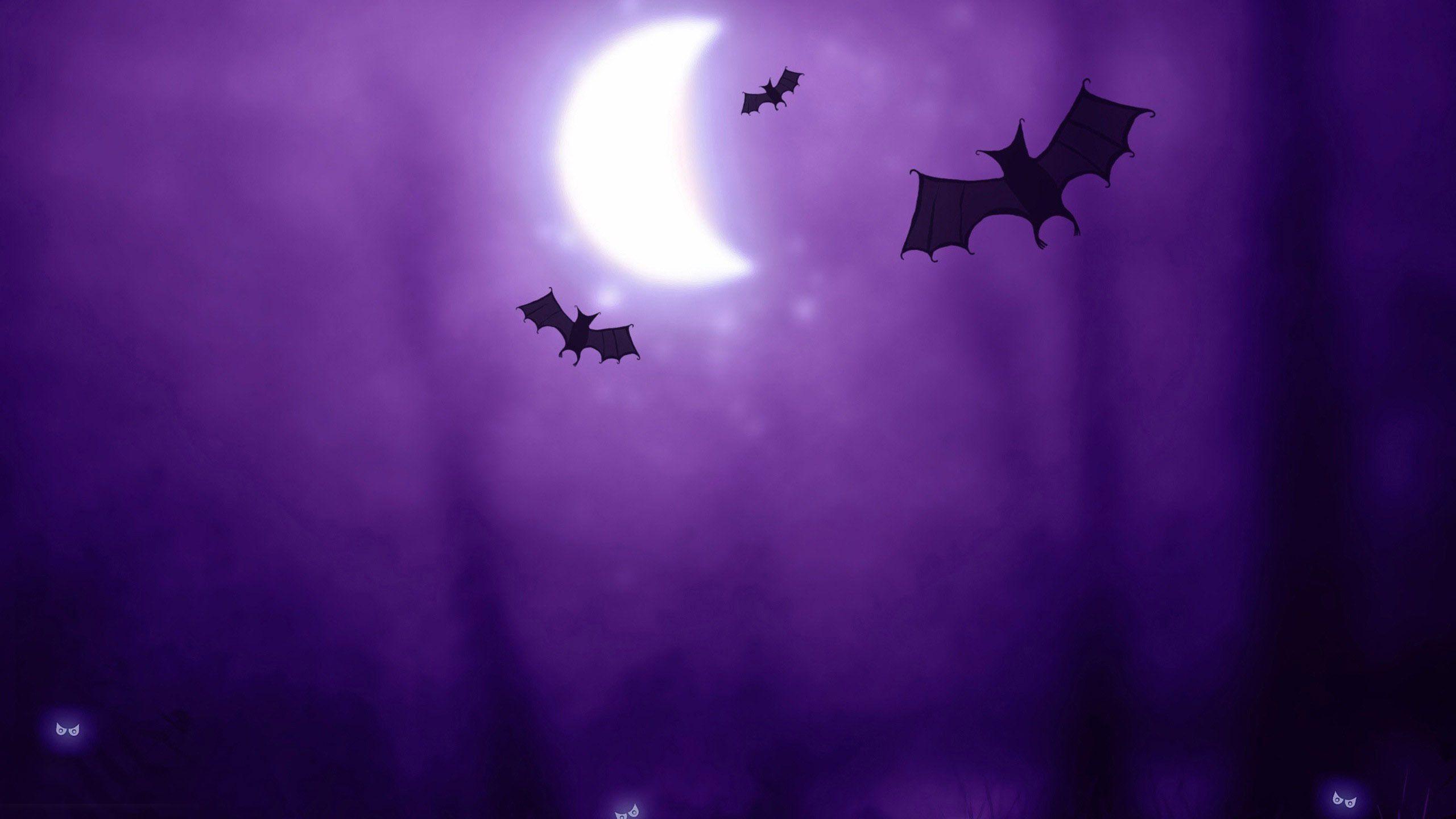 2560x1440 Purple Halloween night Wallpaper