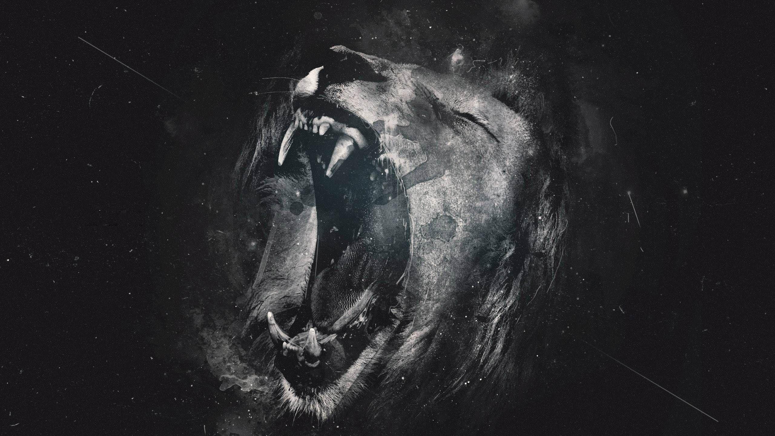 2560x1440 White Lion Wallpaper Sky HD Wallpaper 640×960 White Lion