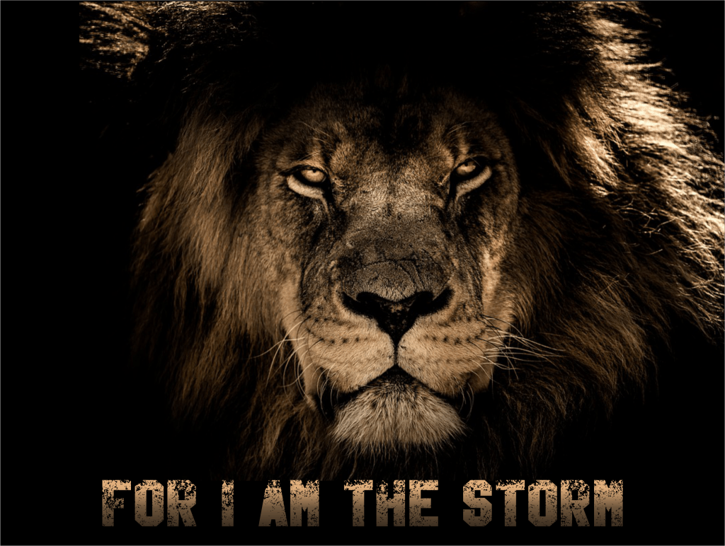 1024x772 Accessories: Lion Art Extraordinary Fantasy Lion Art