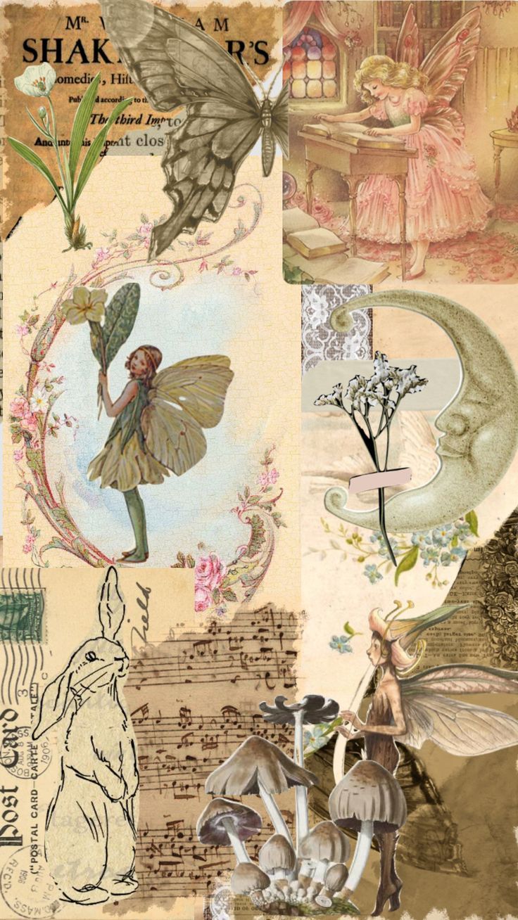 736x1308 vintage #aesthetics #moodboard #collage