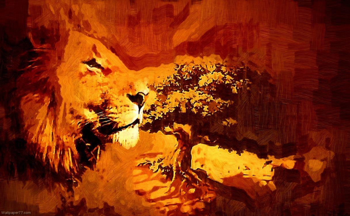 1216x752 Art Wallpaper Lion Image