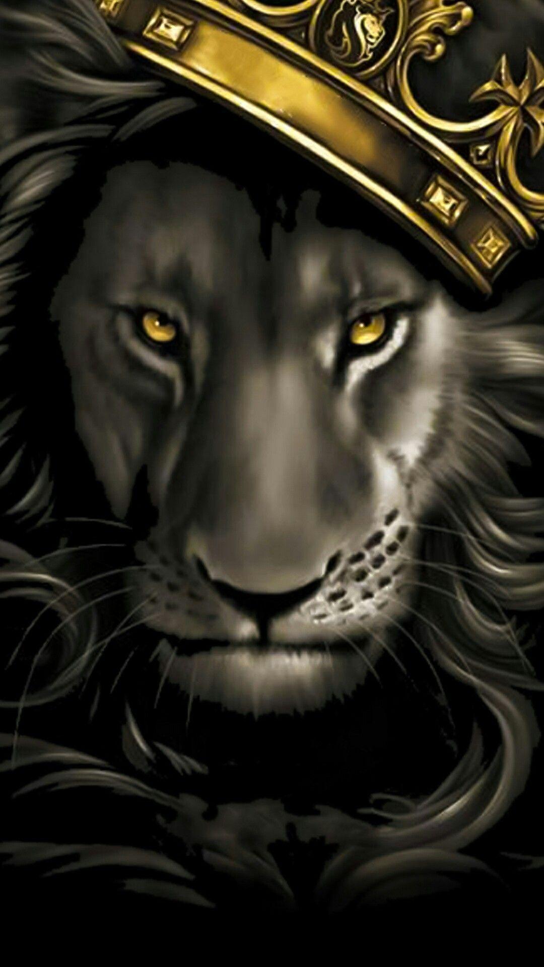 Lion With Crown Wallpapers Top Free Lion With Crown Backgrounds Wallpaperaccess