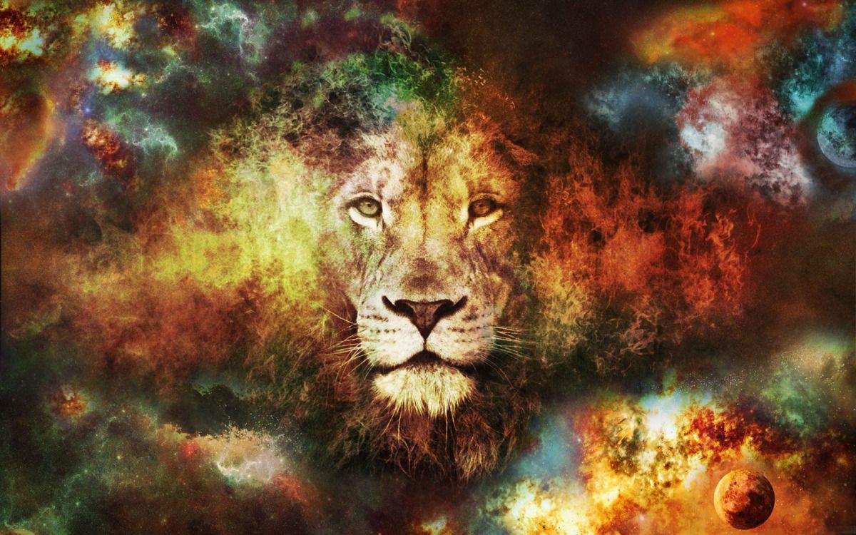 Galxy Cool Lion Wallpapers - Top Free Galxy Cool Lion Backgrounds ...