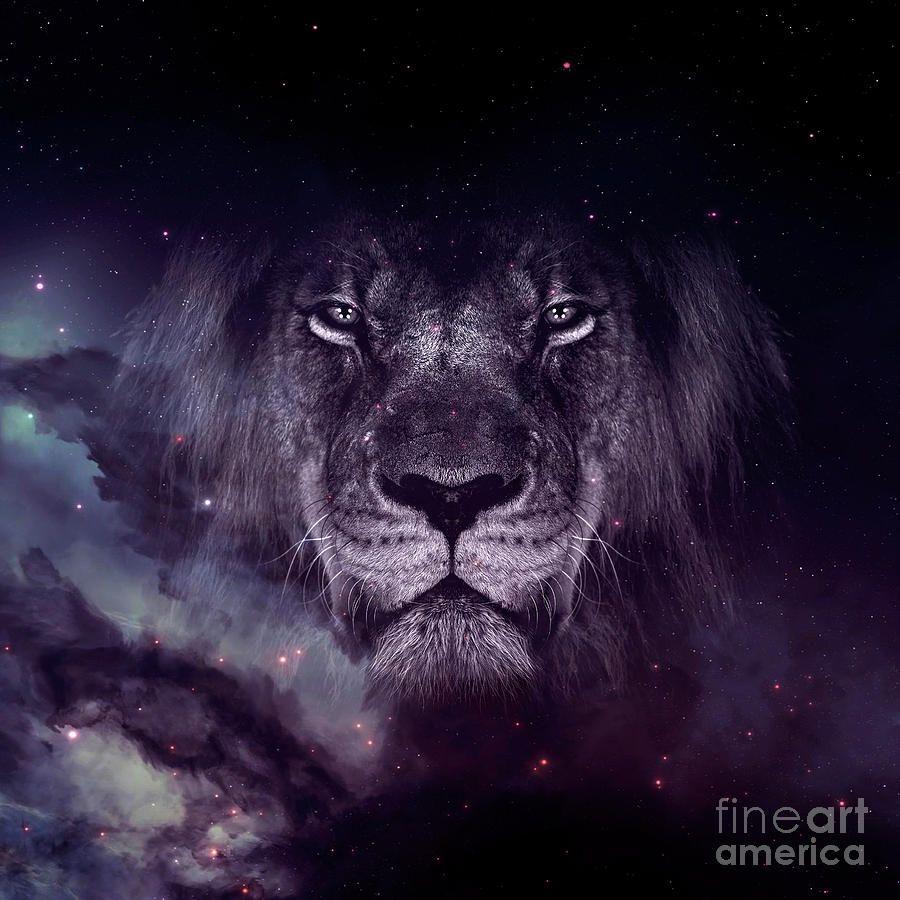 900x900 Galaxy Lion