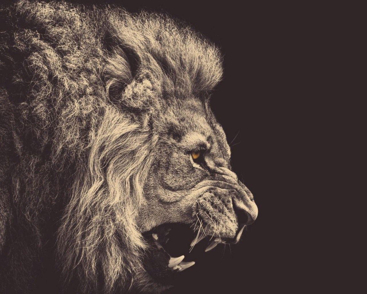 1280x1024 Colorful Lion Wallpaper