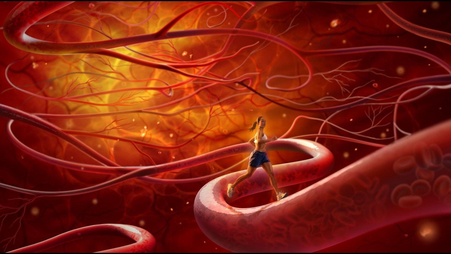 1920x1080 Colors, Colorful, Full Screen, Abstract Art, Desktop Image