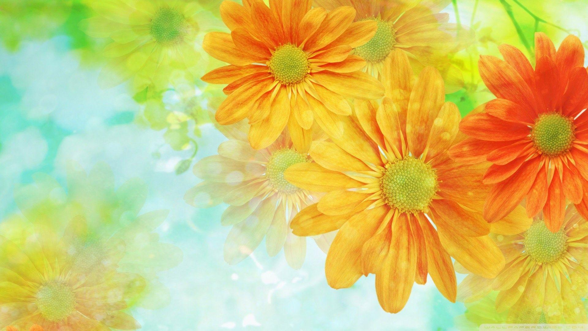 1920x1080 Colorful Flower Wallpaper