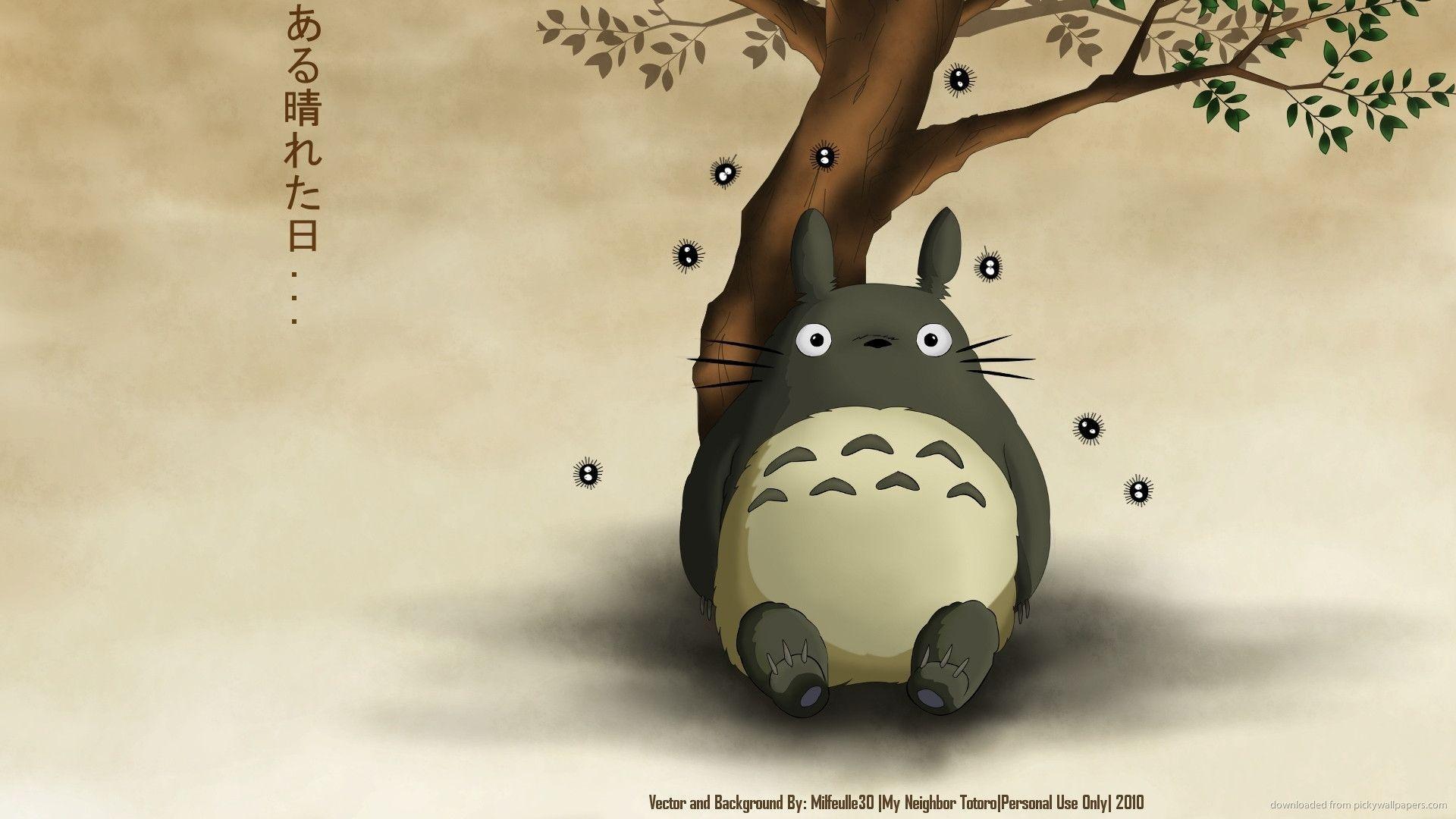 1920x1080 Totoro Wallpaper HD Wallpaper 1920×1080 Totoro Wallpaper 43