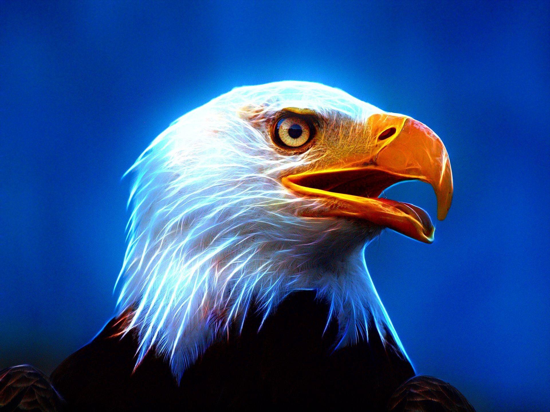 Abstract Eagle Wallpapers - Top Free Abstract Eagle Backgrounds