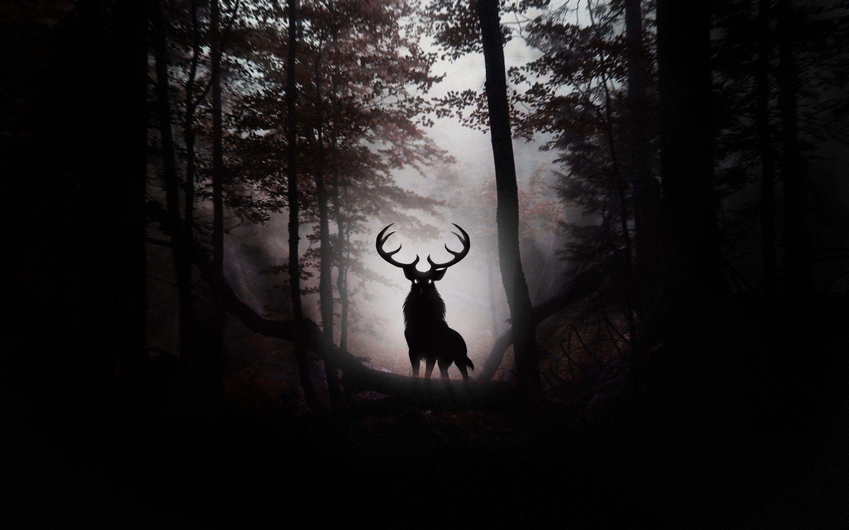 2880x1800 Big Deer Pics WP Collection
