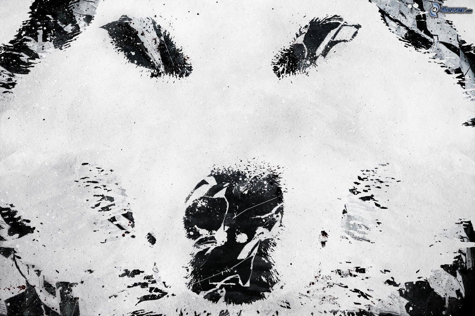 1600x1066 Wolf