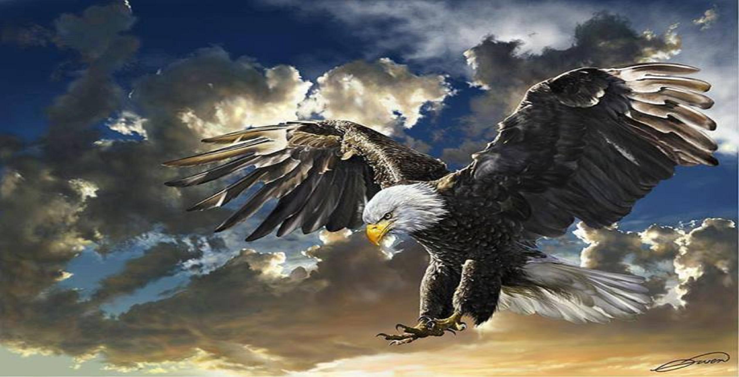 Eagle HD Desktop Wallpapers - Top Free Eagle HD Desktop Backgrounds -  WallpaperAccess