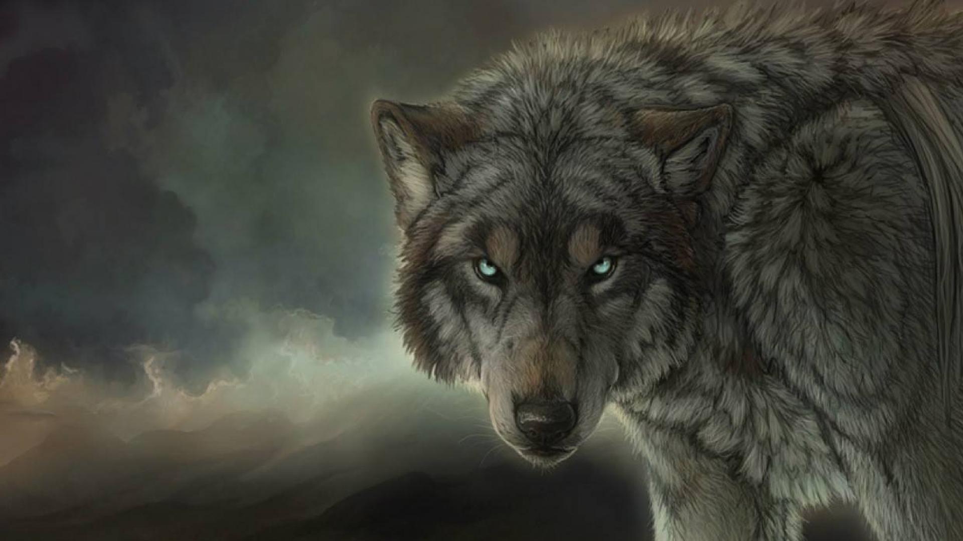 1920x1080 Wolf Wallpaper HD free download