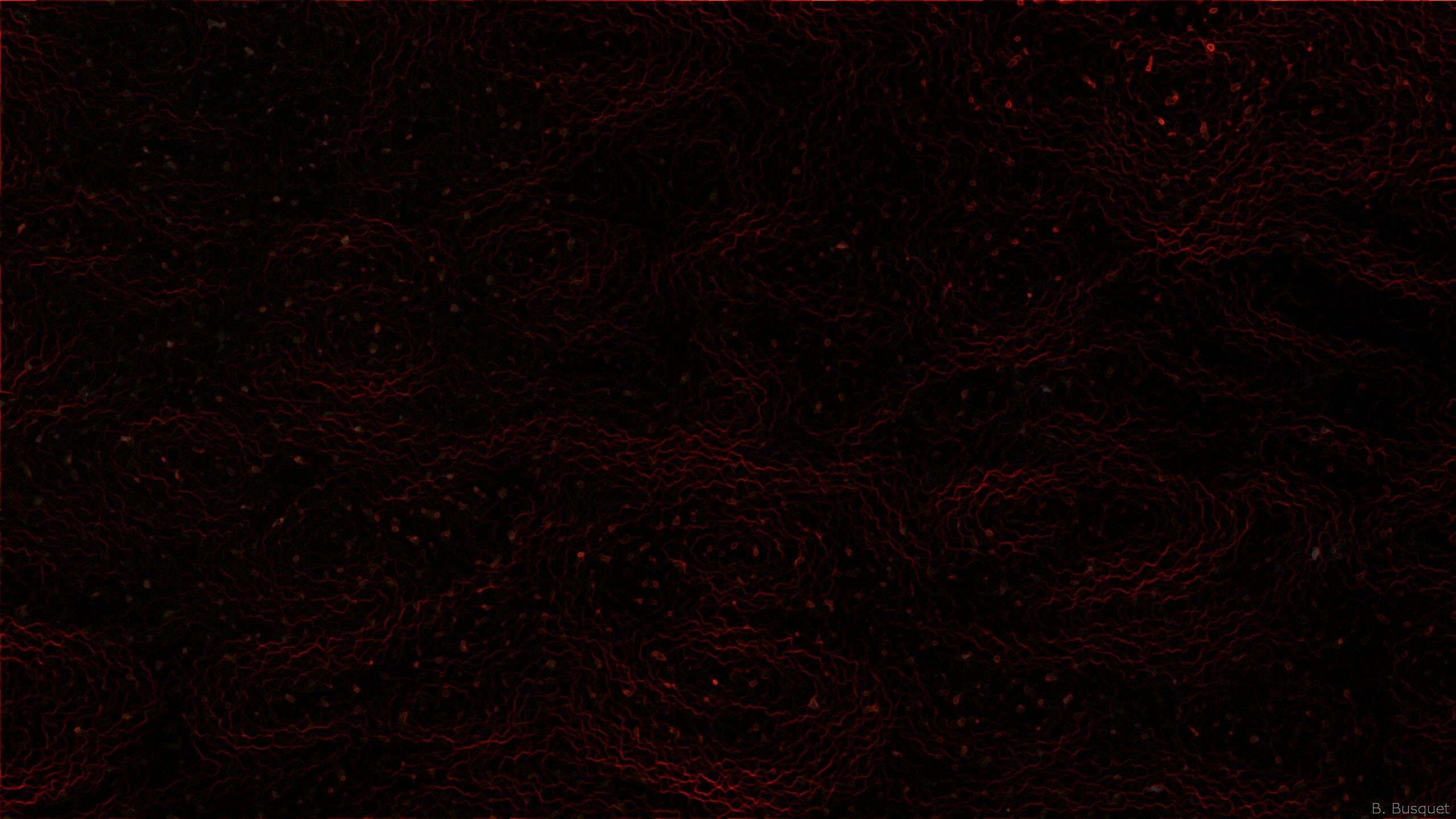 2560x1440 Dark Red Wallpaper HD