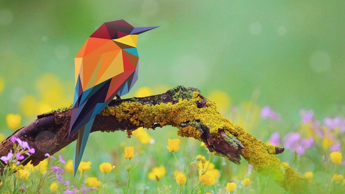 4K Bird Wallpapers - Top Free 4K Bird Backgrounds - WallpaperAccess