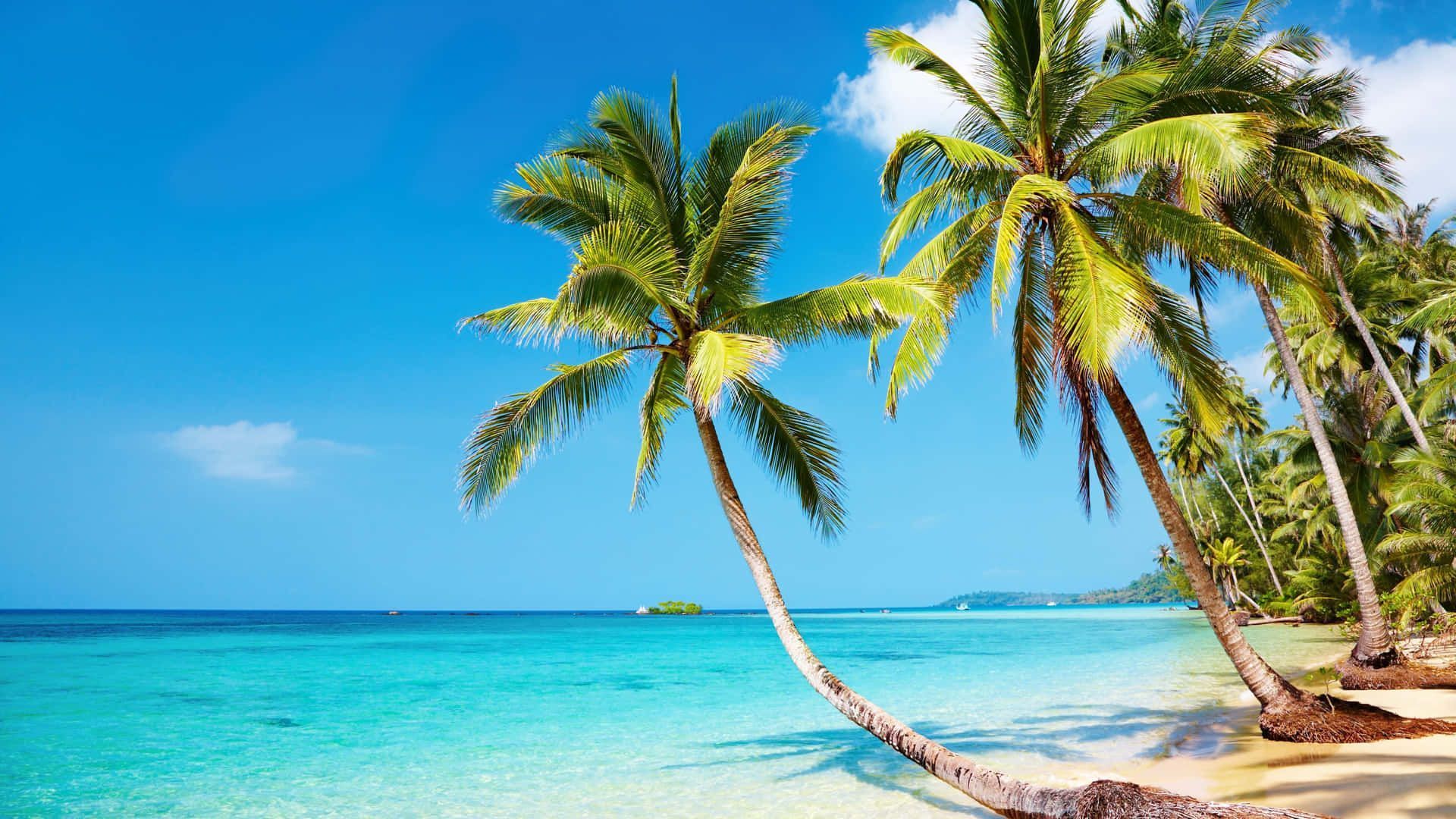 1920x1080 Tropical Beach Background