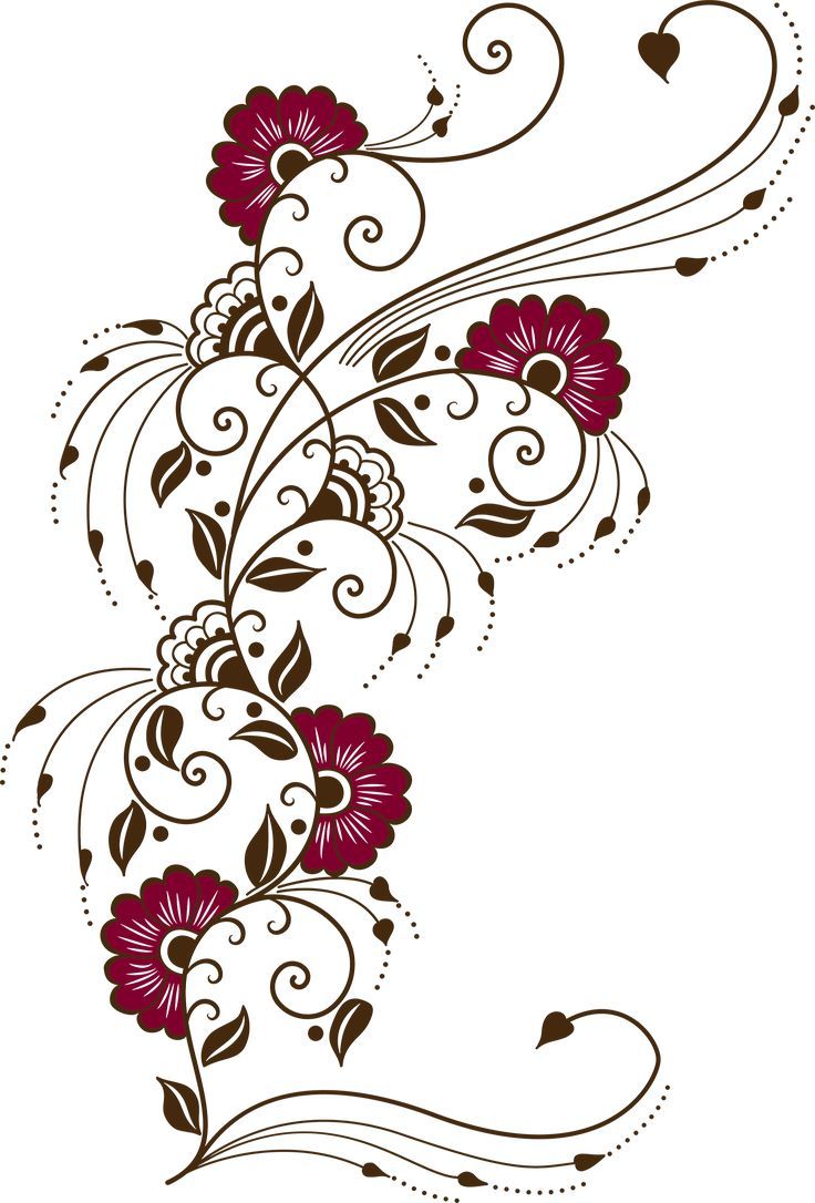 736x1086 Vector flowers, Botanical flower art