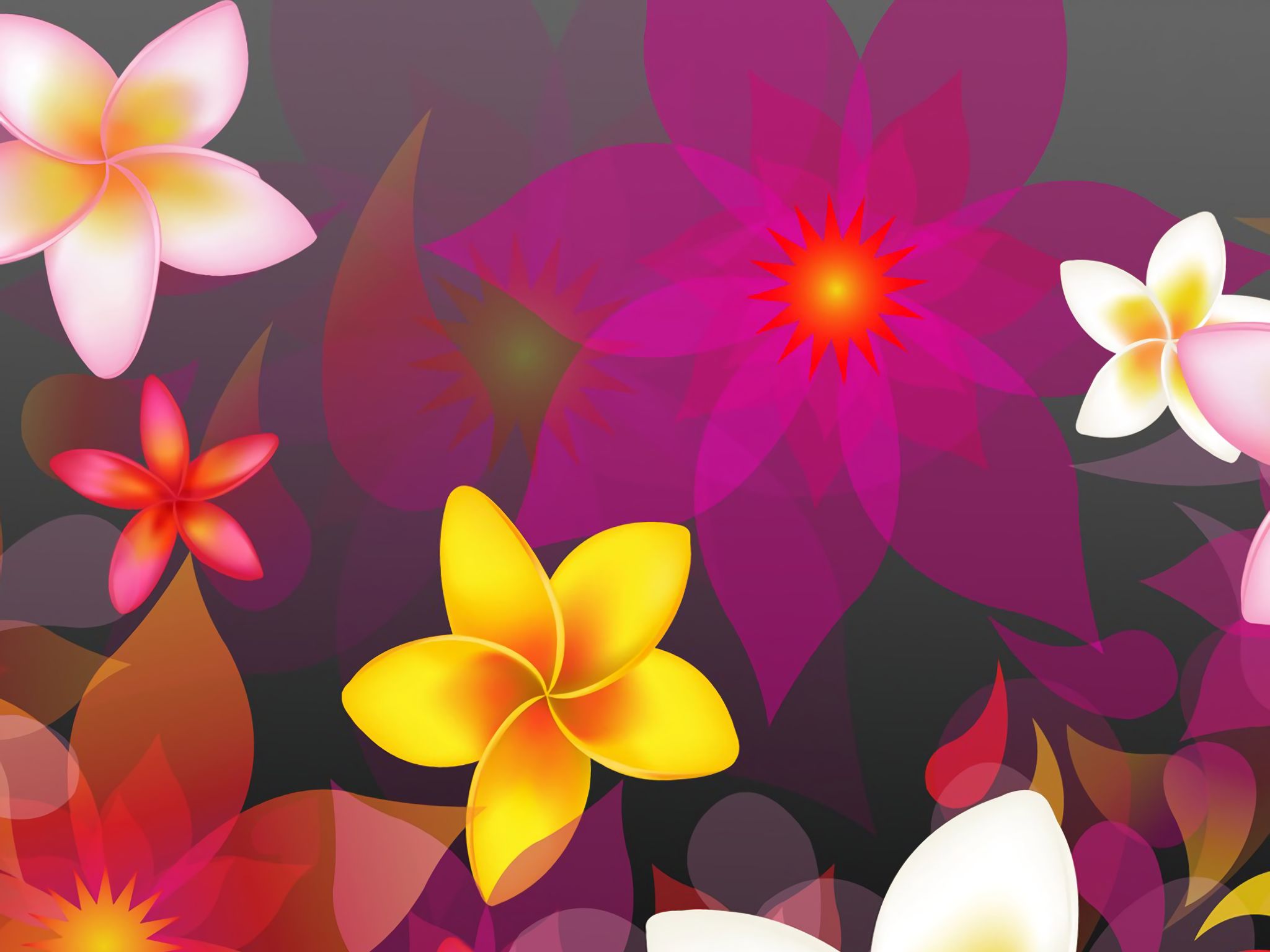 2048x1536 Flowers, Vector, Flower, Colors