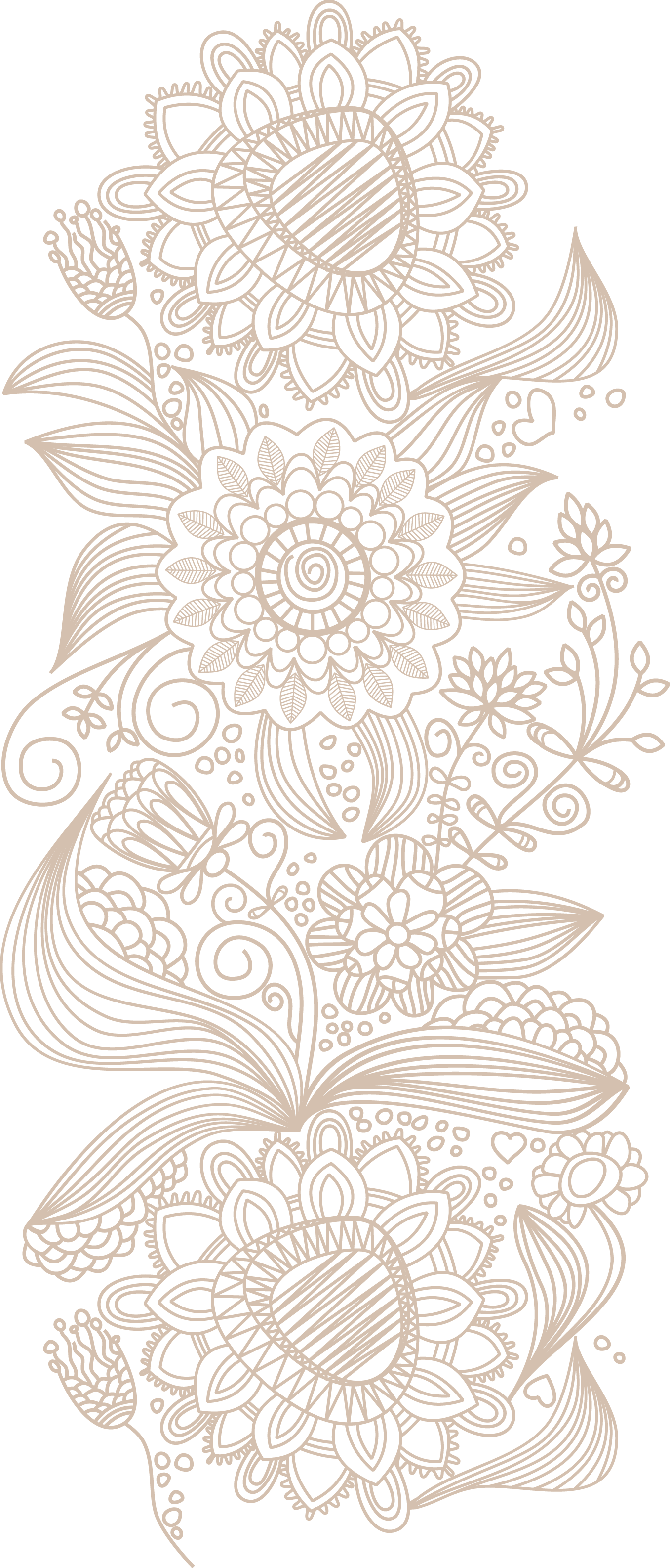 1357x3172 Download Euclidean Vector Flower