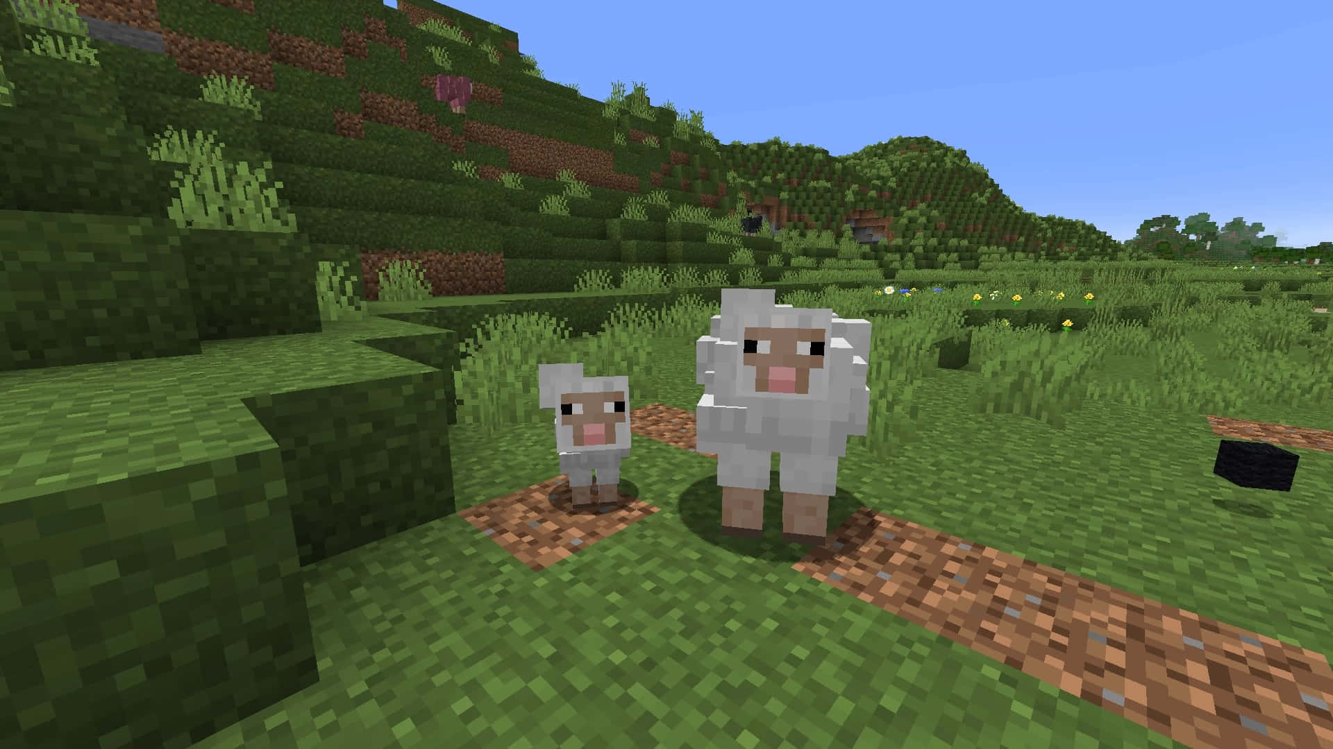 1920x1080 Minecraft Sheep Wallpaper