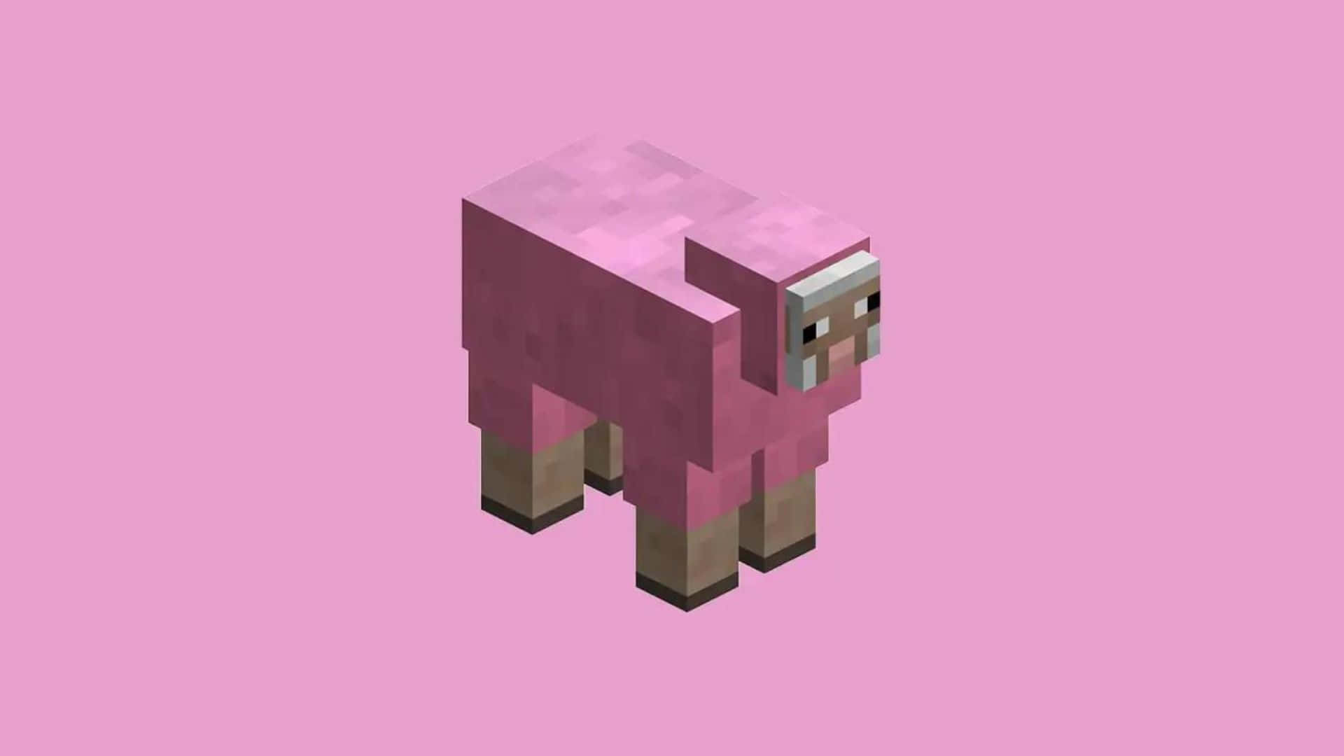 1920x1080 Minecraft Sheep Wallpaper