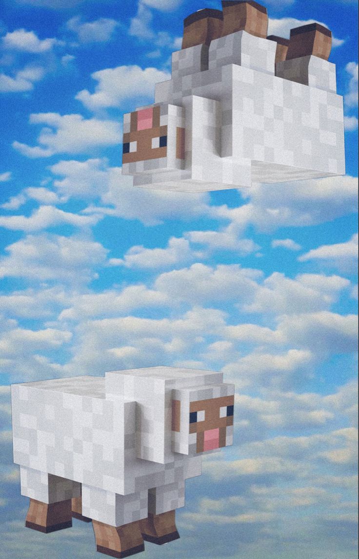 736x1144 Minecraft double sheep wallpaper
