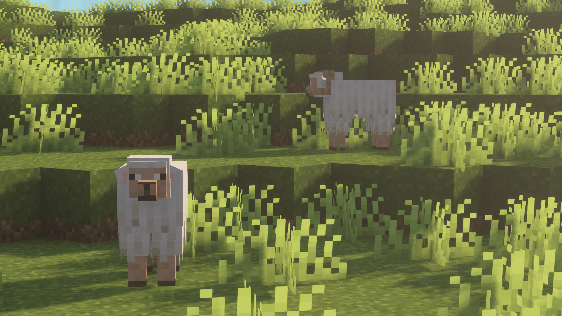 1920x1080 Remodeled Sheep for Minecraft 1.17