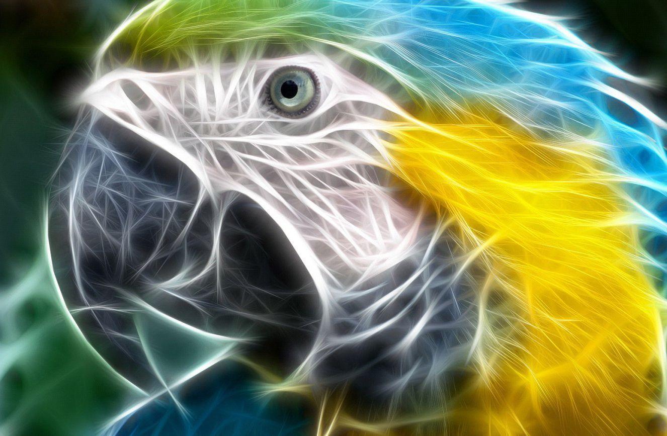 1326x867 3D Animals Wallpaper