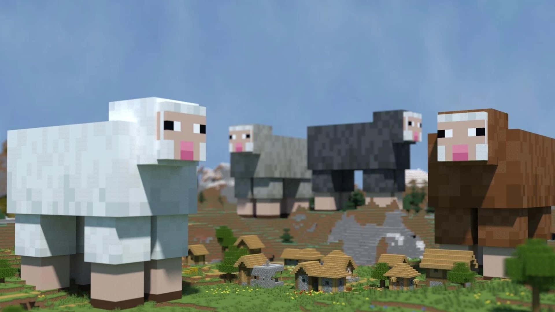 1920x1080 Download Colorful Minecraft Sheep