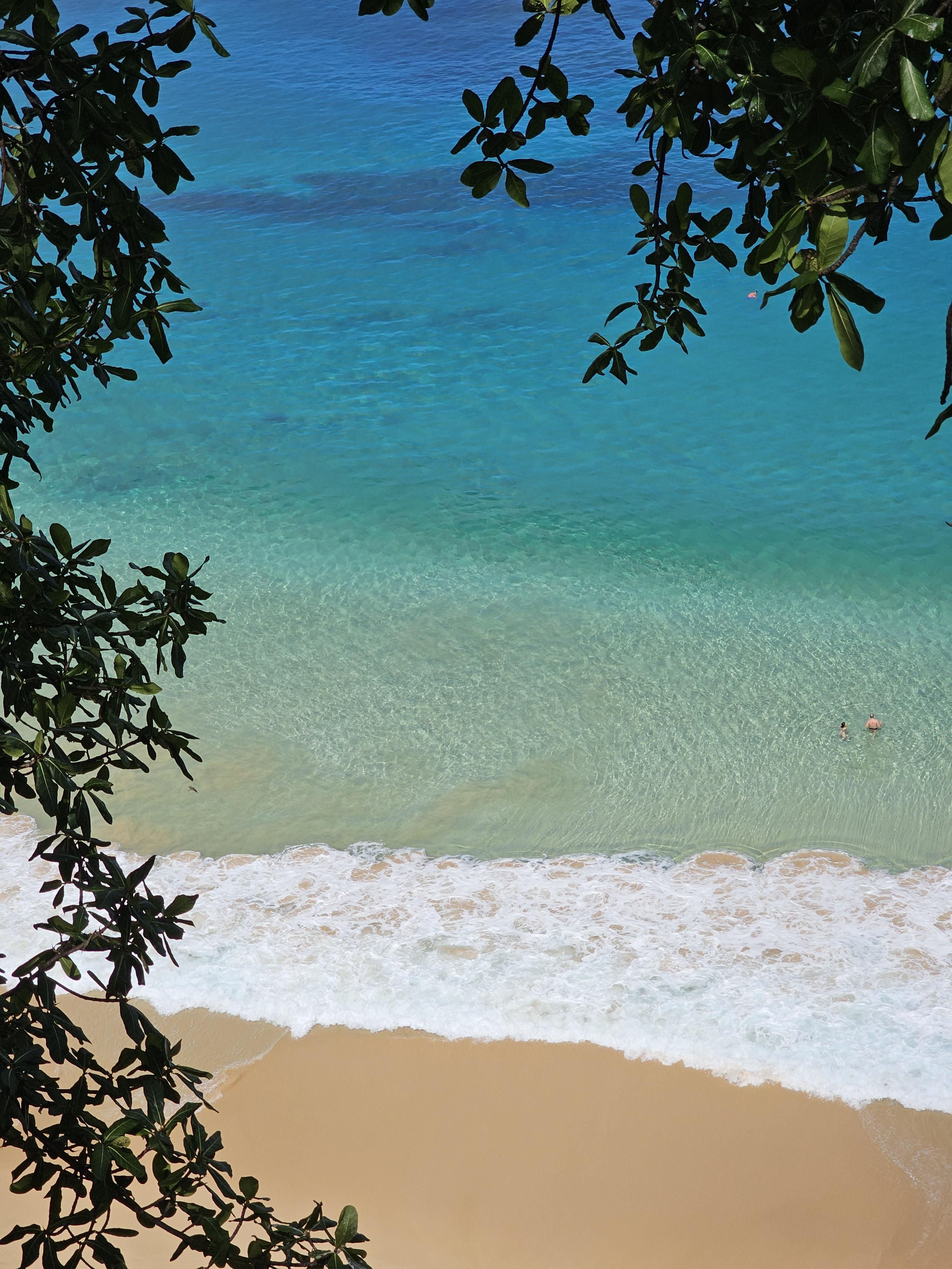 3000x4000 Fernando de Noronha