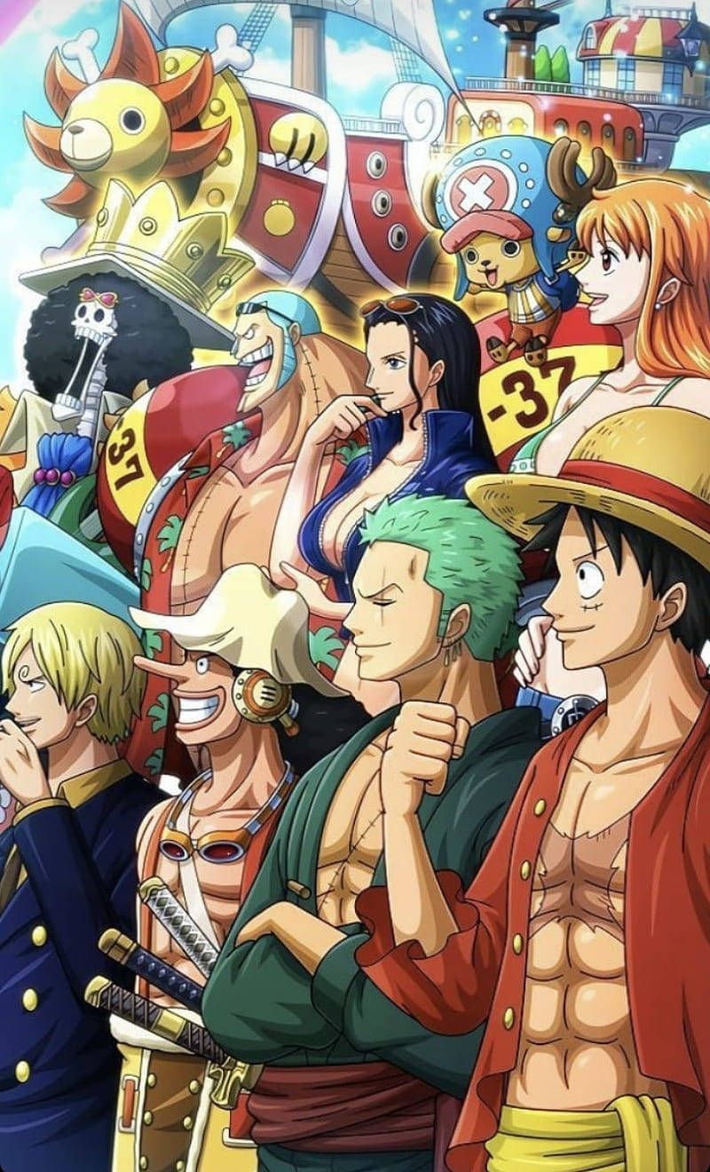 800x1320 Download Luffy Zoro All Cast One Piece