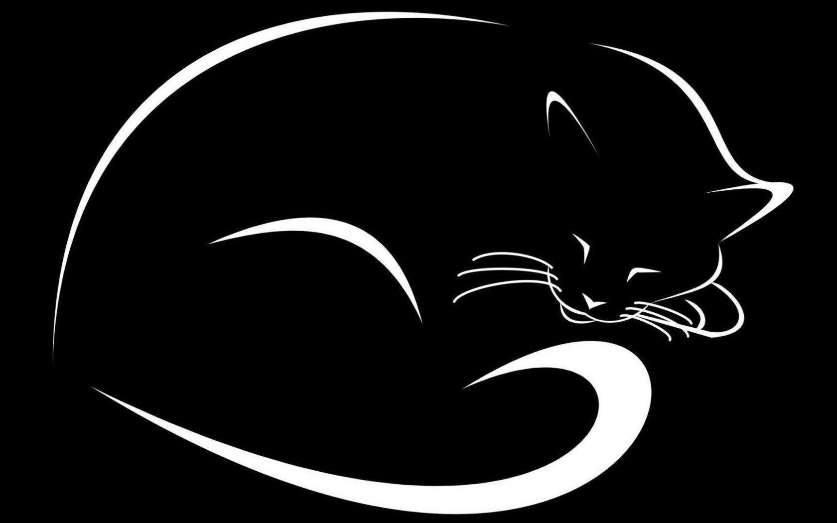 1680x1050 Black White Abstract Cat HD desktop wallpaper : Widescreen