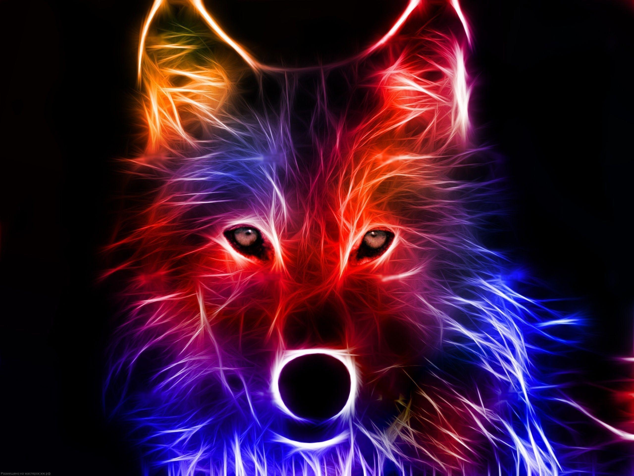Neon Animal Wallpapers - Top Free Neon Animal Backgrounds - WallpaperAccess