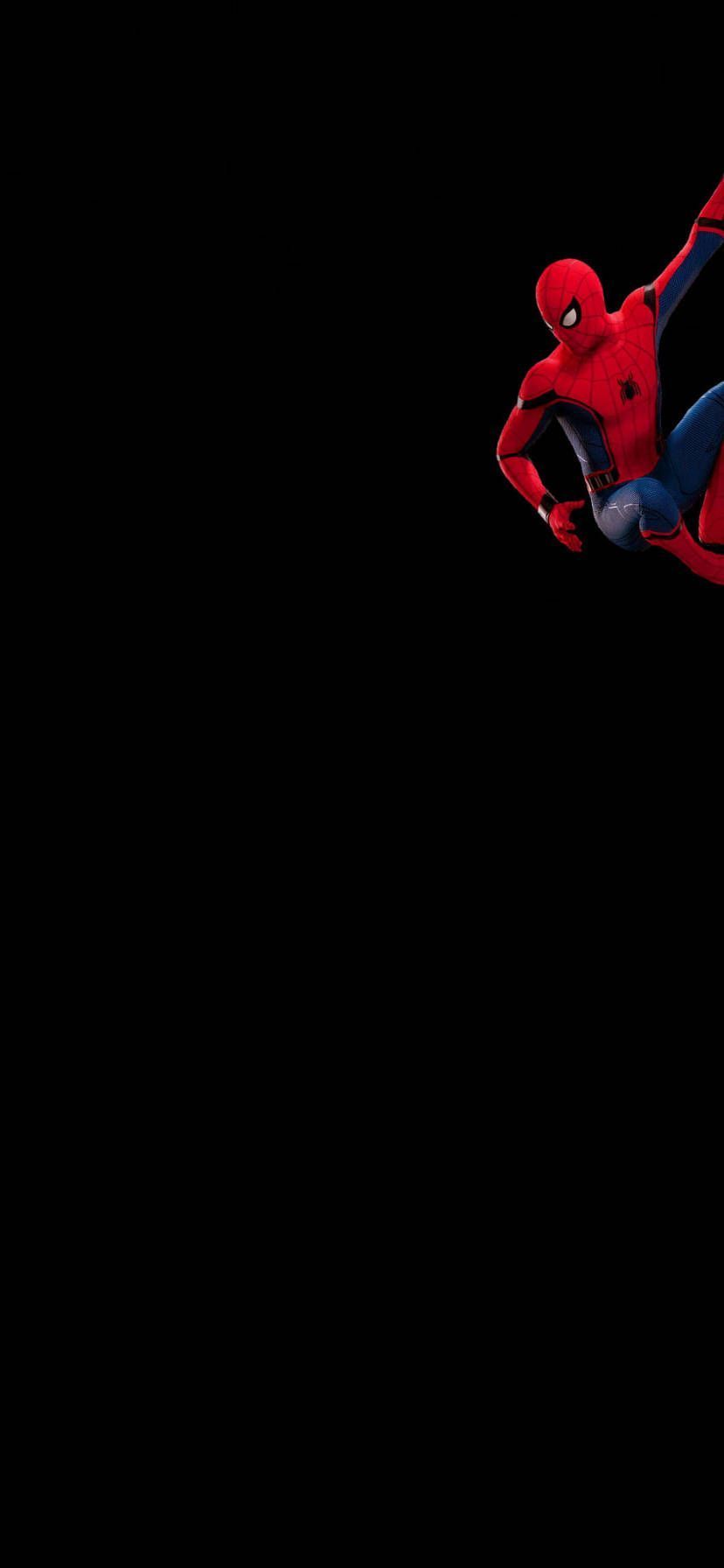 828x1792 Download Spiderman Minimalist Marvel