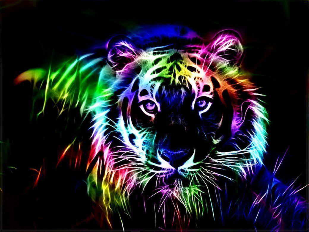 Rainbow Animals Wallpapers Top Free Rainbow Animals Backgrounds Wallpaperaccess